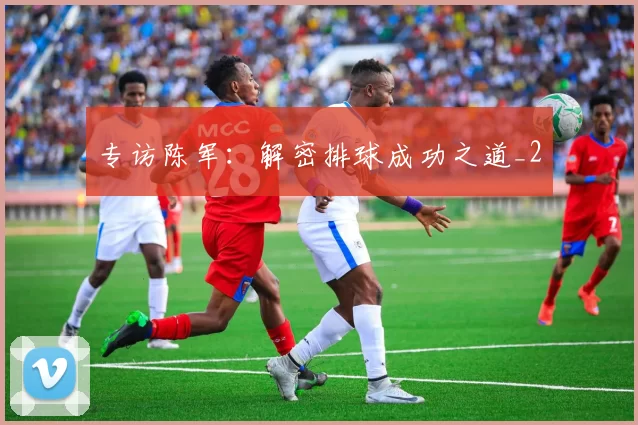 专访陈军：解密排球成功之道_2