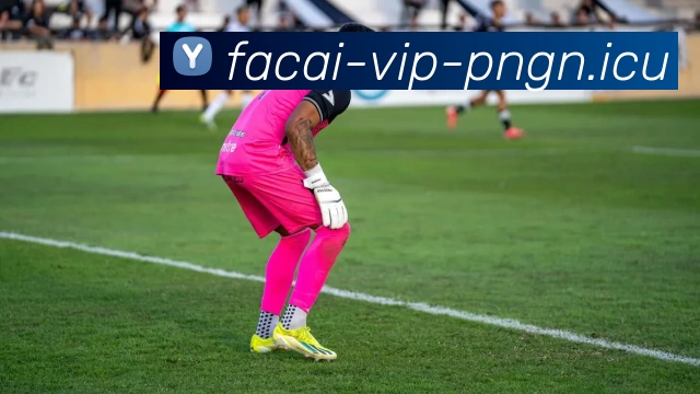 星空体育APP 封面图